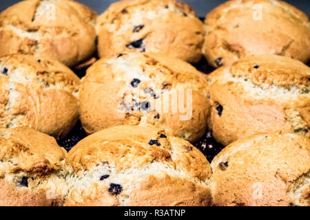 Vor Ort im Besitz Restaurant backt hausgemachte Chocolate Chip Muffins für den Nachtisch in Deli Stockfoto