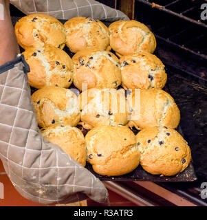 Vor Ort im Besitz Restaurant backt hausgemachte Chocolate Chip Muffins für den Nachtisch in Deli Stockfoto