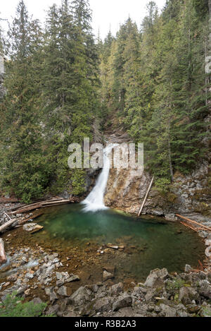 Obere Priester Fluss fällt, auch als American Falls, Selkirk Mountains, Idaho bekannt. Stockfoto