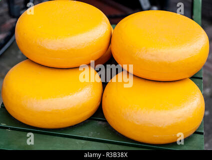 Holländische Gouda Käse Räder in einem Käse Marke Stockfoto