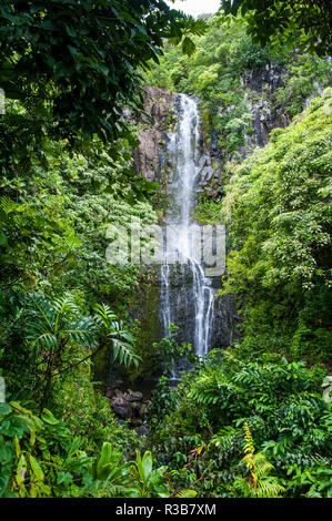Makahiku fällt in der grünen Vegetation, Haleakalā National Park, Maui, Hawaii, USA Stockfoto