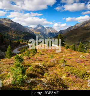 Berglandschaft am Albulapass im Herbst, Albulatal, Val d'Alvra, Kanton Graubünden, Schweiz Stockfoto