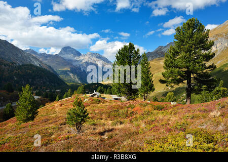 Berglandschaft am Albulapass im Herbst, Albulatal, Val d'Alvra, Kanton Graubünden, Schweiz Stockfoto