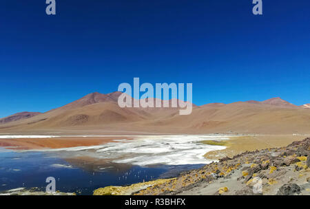 Spektakuläre Aussicht auf die Laguna Colorada, Reserva Eduardo Avaroa, bolivianische Wüste, Bolivien Stockfoto