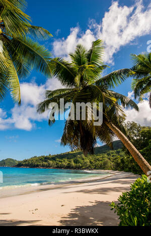 Petit Polizei Bay Beach, Mahé, Republik der Seychellen, Indischer Ozean. Stockfoto