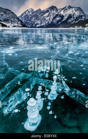 Kanada, Alberta, Spray Tal Provincial Park. Gefrorenem Methan Blasen in Spray Lakes Stockfoto