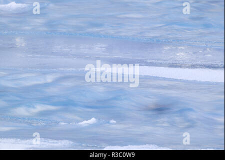 Bow River in der Nähe von Überraschung Ecke, Stadtrand, kanadische Rockies Banff, Alberta, Kanada Stockfoto