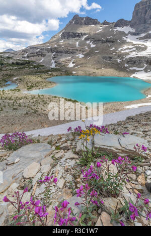 Kanada, British Columbia, East Kootenay Mountains. Jewel Seen mit Weidenröschen. Stockfoto