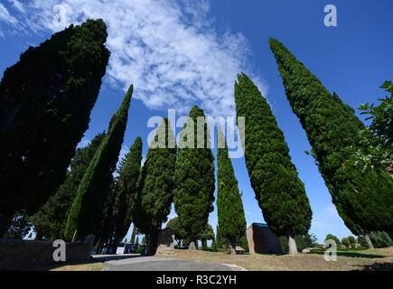 Via Appia Antica in Rom. Stockfoto