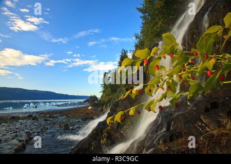 Wasserfall in der Nähe von Smith Gletscher, College Fjord, Prince William Sound, Alaska Stockfoto