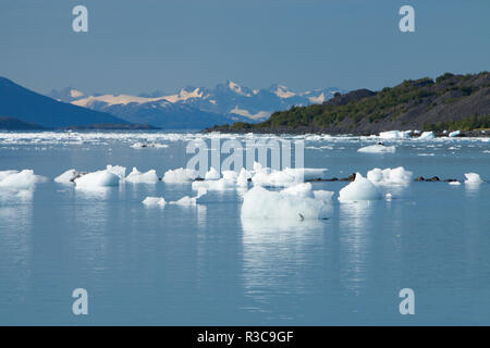 Smith Gletscher, College Fjord, Prince William Sound, Alaska Stockfoto