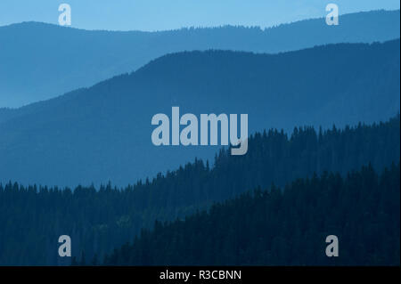 Blau Natur Hintergrund mit Berg Silhouetten und einem Pinienwald. Glatten Farbverlauf von dunkel nach hell Blau durch die lange Brennweite und twilight verursacht. Stockfoto