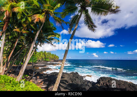 Surfen und Palmen entlang der Puna Küste, Big Island, Hawaii, USA Stockfoto