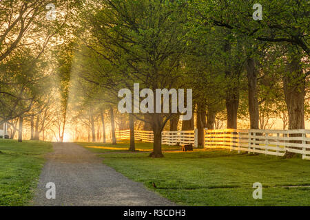 Weißen Holzzaun reflektierende Sunrise, Shaker Village von Pleasant Hill, Harrodsburg, Kentucky Stockfoto