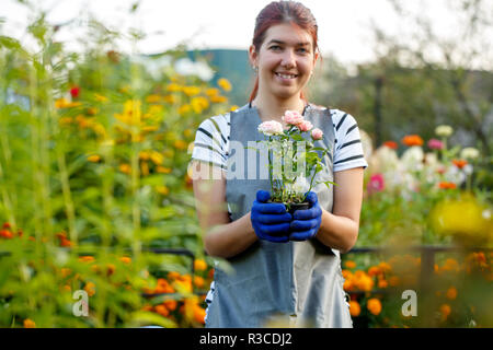 Foto von Happy Agronom Frau mit Rosen im Garten im Sommer Tag Stockfoto