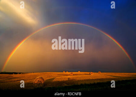 Kanada, Manitoba. Rainbow und Heuballen nach prairie Storm. Stockfoto