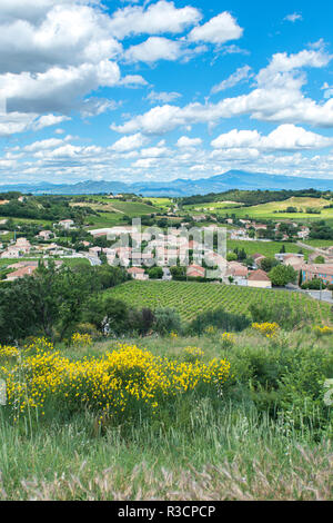 Rhone, Chateauneuf du Pape, Frankreich, Europa Stockfoto