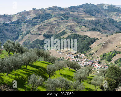 Weinberge und einem kleinen Dorf in der Nähe von Assento. Es ist das Weinbaugebiet Alto Douro und als UNESCO-Weltkulturerbe. Portugal Stockfoto