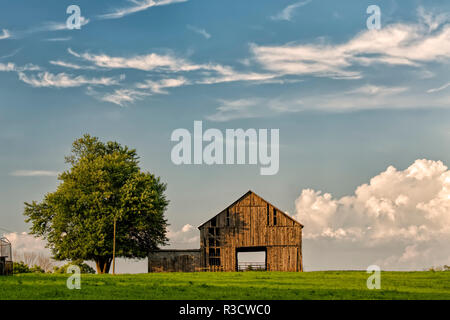 Scheune am Nachmittag, Licht, Kentucky Stockfoto