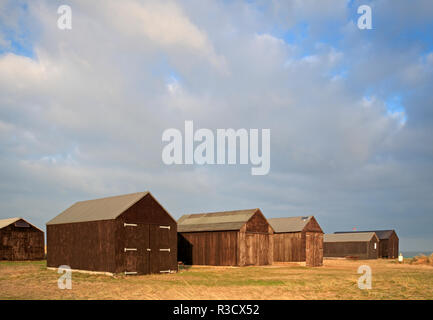 Einen Blick auf die Hütten der Fischer und Lock-ups am Rande der Dünen an der Ost Küste von Norfolk bei Winterton, Norfolk, England, Vereinigtes Königreich, Europa. Stockfoto