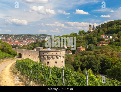 Mauern der Festung Marienberg und der Wallfahrtskirche Kapelle, Würzburg, Bayern, Deutschland Stockfoto