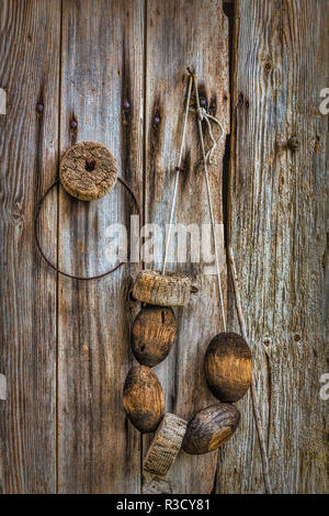 USA, WA, San Juan Inseln. Fischen schwimmt auf der Kabinenwand. Stockfoto