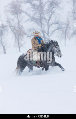 Cowgirl reiten ihr Pferd im Winter Unterschlupf Ranch, Shell, Wyoming. (MR, PR) Stockfoto