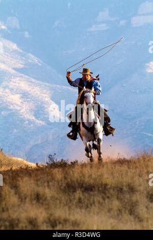 Usa, Wyoming, Shell, das Versteck Ranch, Cowboy mit Lasso auf Pferd (MR, PR) Stockfoto