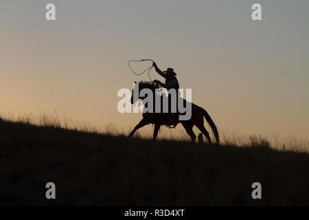 Usa, Wyoming, Shell, das Versteck Ranch, Cowboy und Lasso Silhouette bei Sonnenuntergang (MR, PR) Stockfoto