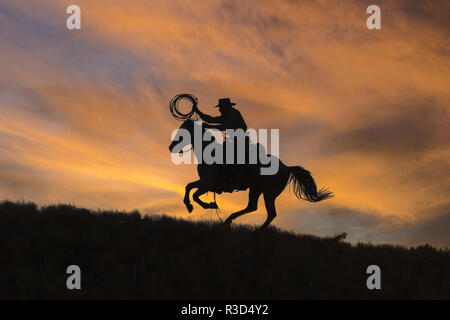 Usa, Wyoming, Shell, das Versteck Ranch, Cowboy und Lasso Silhouette bei Sonnenuntergang (MR, PR) Stockfoto