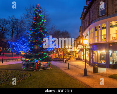 Weihnachtsbaum auf Montpellier Hill bei Dämmerung Harrogate, North Yorkshire England Stockfoto