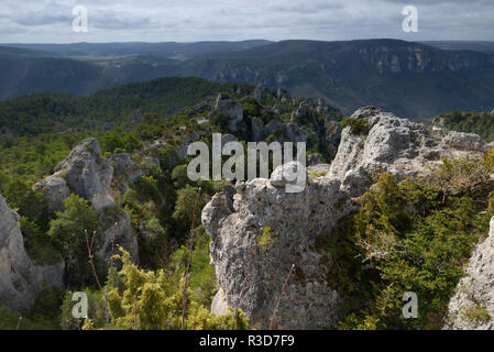 Viadukt von Millau (Südfrankreich): felsenmeer "Chaos de Montpellier-le-Vieux". Blick auf das Felsenmeer und die Landschaft von den Kalkstein p Stockfoto