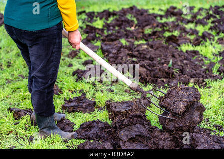 Bauern arbeiten auf der Farm. Organische Dünger für die Düngung des Bodens, Vorbereitung Garten zum Pflanzen im Frühjahr, Bio Landbau Konzept. Stockfoto