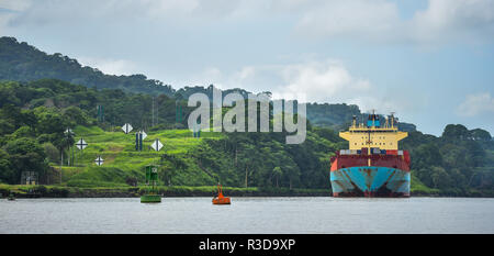 Ein großes Frachtschiff macht seinen Weg durch den Panamakanal, gesäumt von grünen Dschungel auf beiden Seiten. Stockfoto