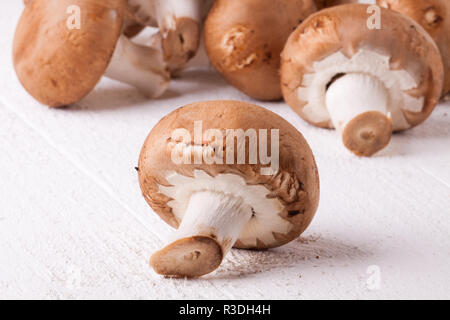 Frische braune Champignons Stein als close-up Stockfoto