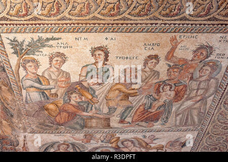 Mosaikwand im Saal des Haus des Aion, archäologischen Stätte von Kato Paphos, Paphos (Pafos), Pafos Bezirk, Republik Zypern Stockfoto