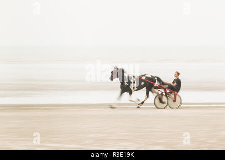 Trab auf Barbe Strand, Dungeness, Kent GROSSBRITANNIEN Stockfoto