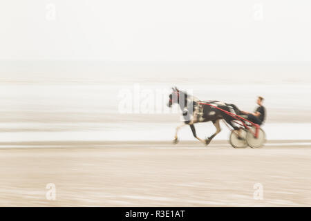 Trab auf Barbe Strand, Dungeness, Kent GROSSBRITANNIEN Stockfoto