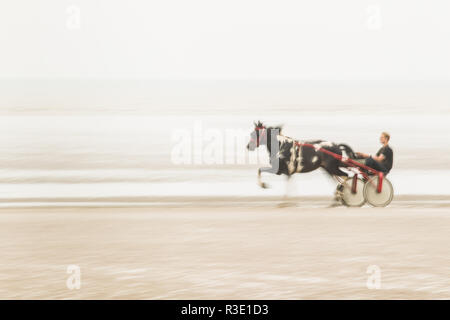 Trab auf Barbe Strand, Dungeness, Kent GROSSBRITANNIEN Stockfoto