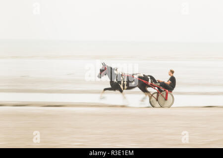 Trab auf Barbe Strand, Dungeness, Kent GROSSBRITANNIEN Stockfoto