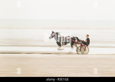 Trab auf Barbe Strand, Dungeness, Kent GROSSBRITANNIEN Stockfoto