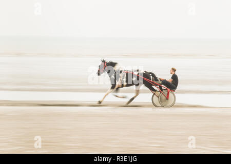 Trab auf Barbe Strand, Dungeness, Kent GROSSBRITANNIEN Stockfoto