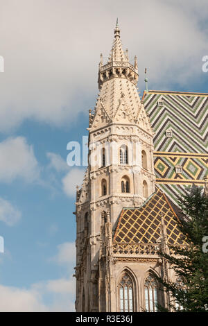 der Stephansdom in Wien Stockfoto