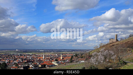 Schriesheim und der Ray schloss als Panorama Stockfoto