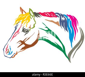 Bunt dekorativ Portrait im Profil der schönen Welsh Pony mit langer Mähne, Vector Illustration in verschiedenen Farben auf weißem Hintergrund. Stock Vektor