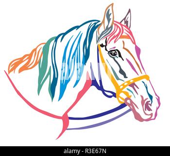 Bunt dekorativ Portrait im Profil der schönen Pferde im Zaum mit langer Mähne, Vector Illustration in verschiedenen Farben isoliert auf weißem backgr Stock Vektor