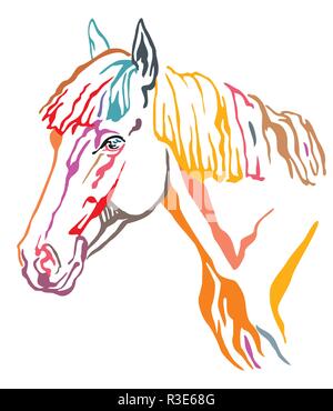 Bunt dekorativ Portrait im Profil der schönen Pferd mit langer Mähne, Vector Illustration in verschiedenen Farben auf weißem Hintergrund. Bild Stock Vektor