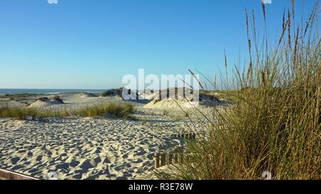 Die malerische Landschaft mit den Sanddünen von Portugal Stockfoto