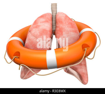 Menschliche lungen mit Rettungsring, Lungen zu schützen. 3D-Rendering auf weißem Hintergrund Stockfoto