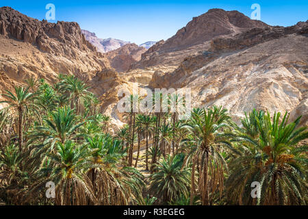 Berg Oase chebika an der Grenze der Sahara, Tunesien, Afrika Stockfoto